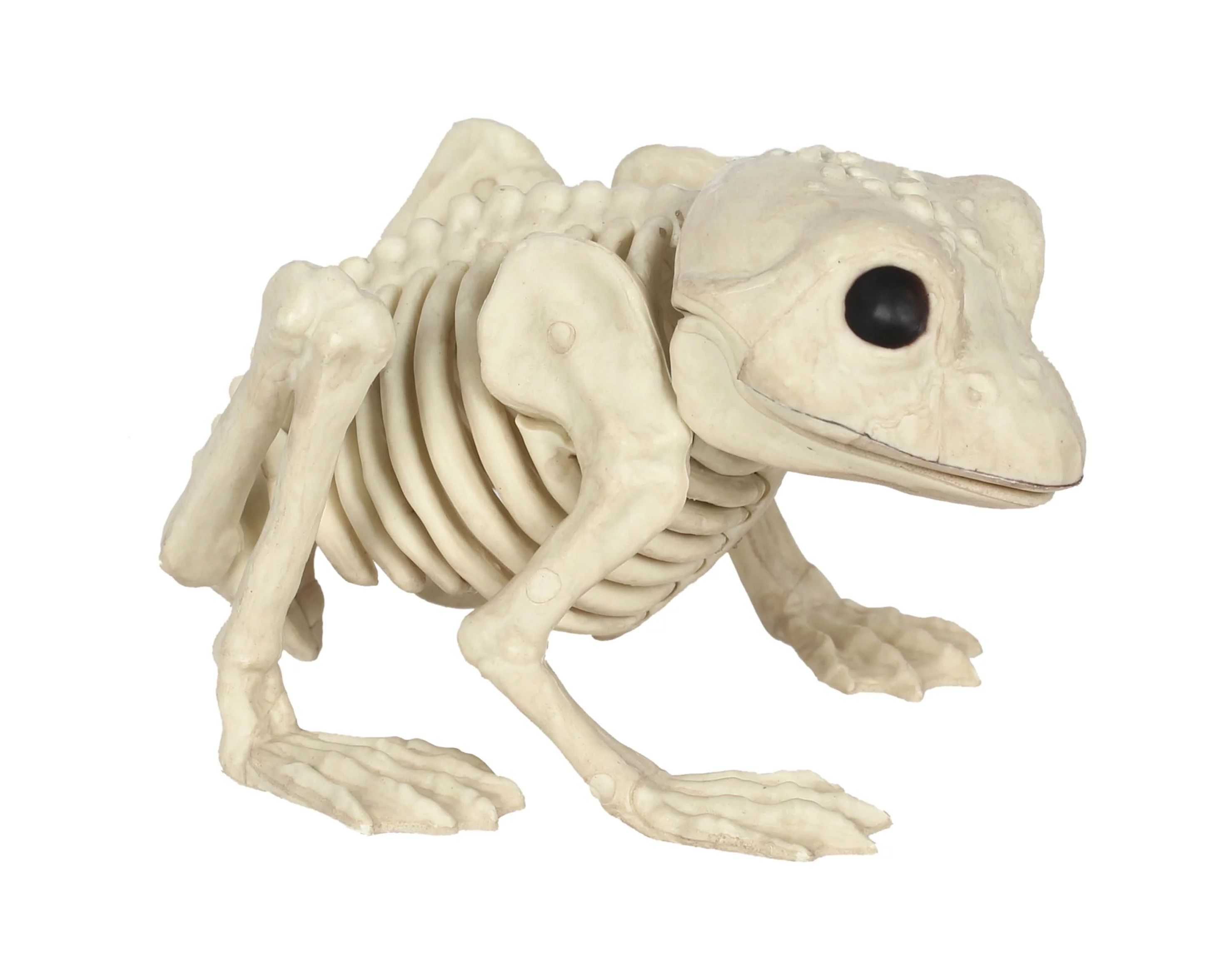 Frog Skeleton Halloween Decoration | Walmart (US)