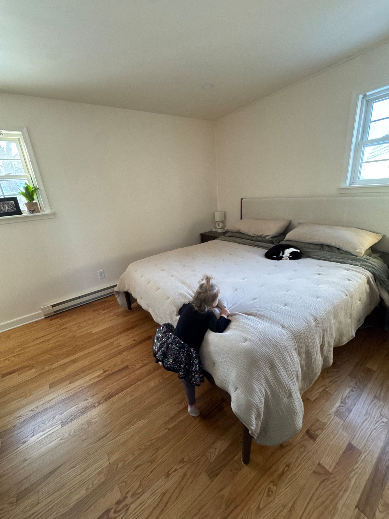 Obsessed with our new bed + mattress! The cats and kids like it too 😅 

#LTKHome #LTKKids #LTKmomlife