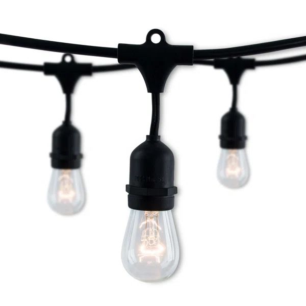 Galena 48-ft Outdoor 15 - Bulb Standard String Light (End to End Connectable) | Wayfair North America