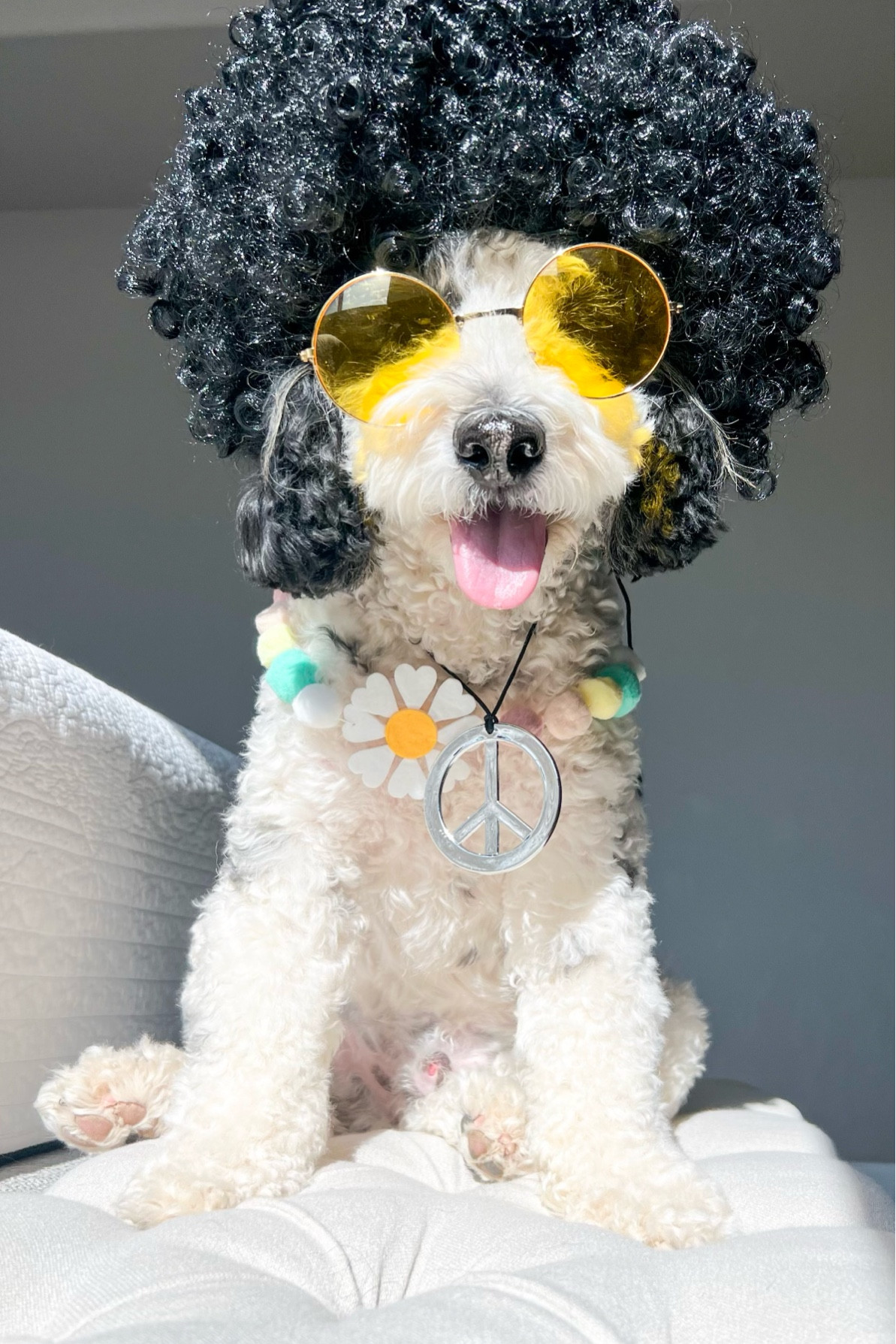 Spring hippie costume 

#LTKfamily #LTKkids