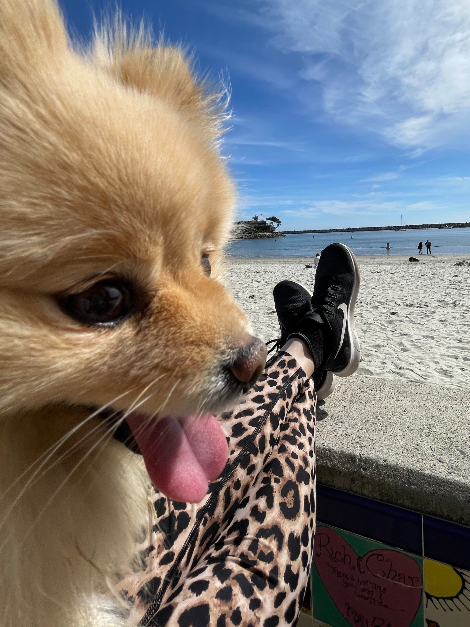 #LTKActive #LTKFindsUnder50 #LTKFindsUnder100