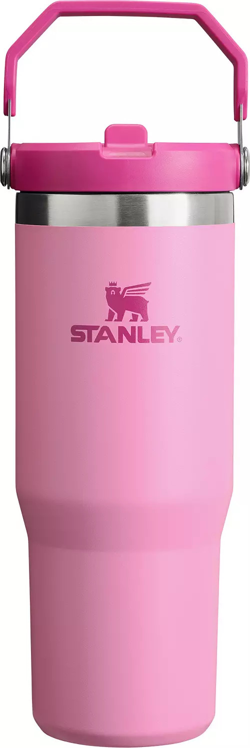 Stanley 30 Oz. IceFlow Tumbler with Flip Straw | Dick's Sporting Goods