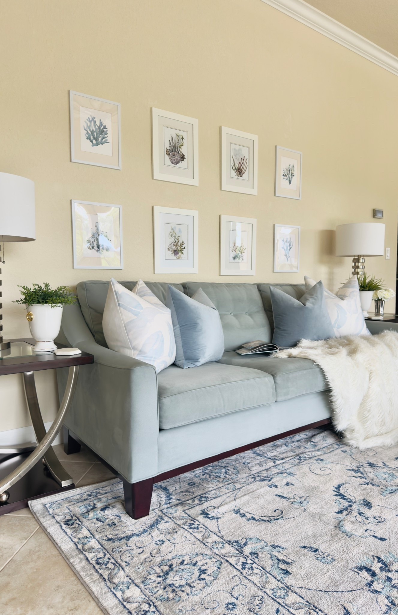 This beautiful Amazon rug is perfect for high traffic areas & family-friendly spaces! We purchased size 9x12 for our family room! 🩵🤍🩶

Indoor Rug | Family Room Decor | Blue & White Decor | Home Decor | Living Room Decor | Warm Neutral Decor | Classic Blues I Transitional Decor | Transitional Modern Coastal

#LTKHome