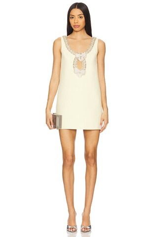 Maisy Embellished Dress in Earl Rose | Revolve Clothing (Global)