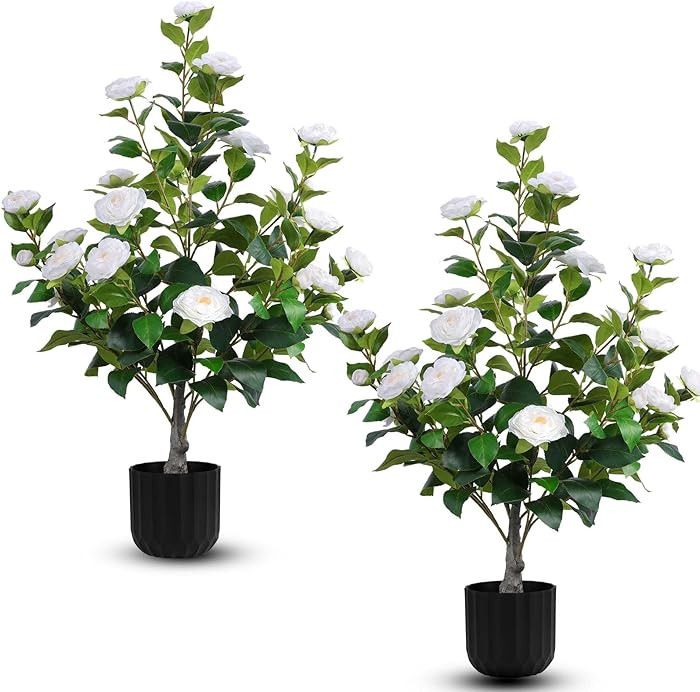 Hananona 2 Pcs Artificial Camellia Trees Faux Camellia Plant in Pot with Flowers Indoor Plants fo... | Amazon (US)