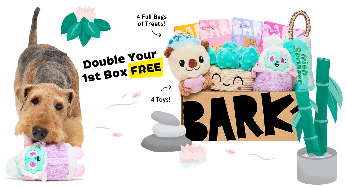 Monthly dog goodies for good doggies | BarkBox