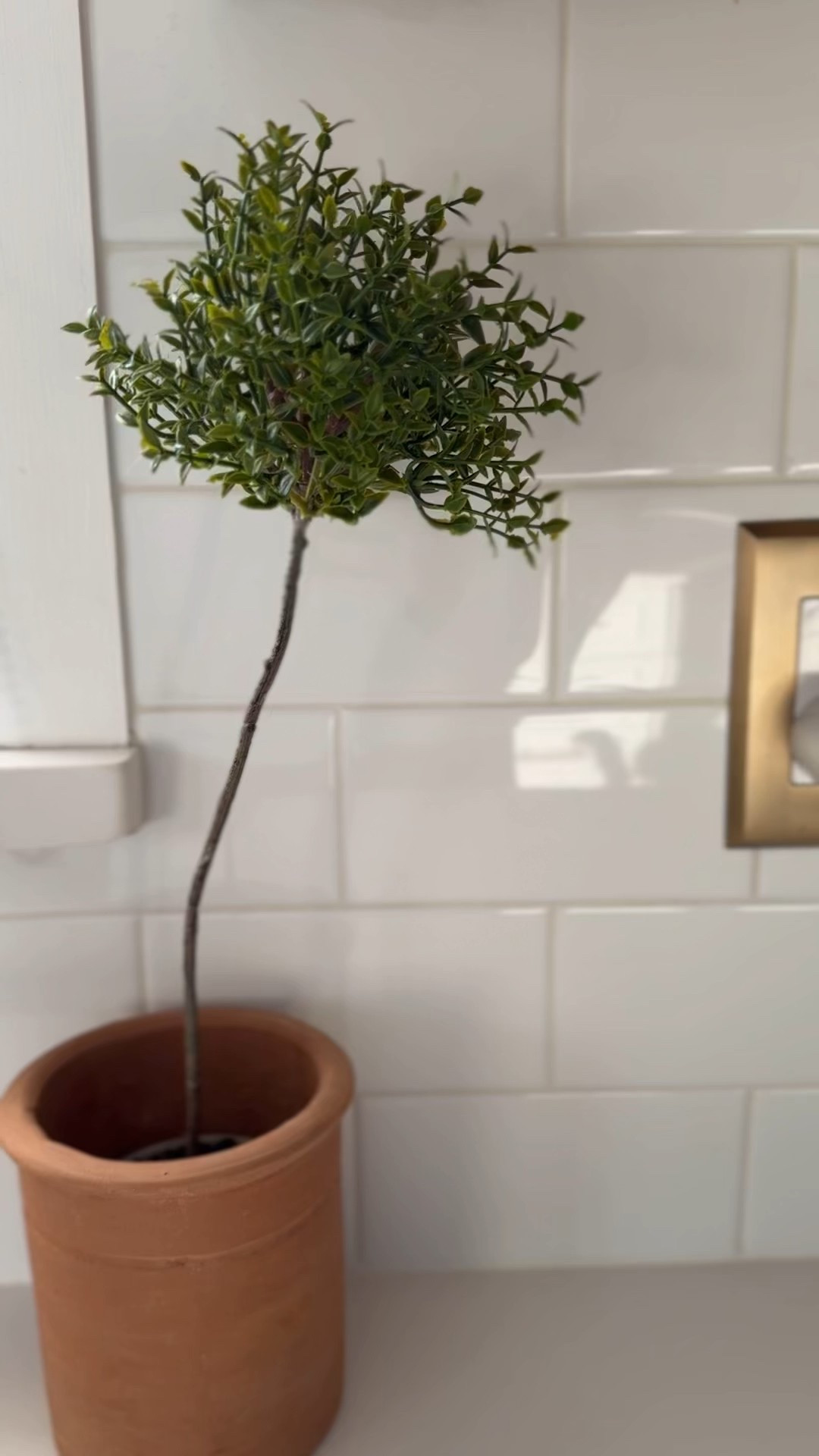 #LTKHome #LTKSeasonal