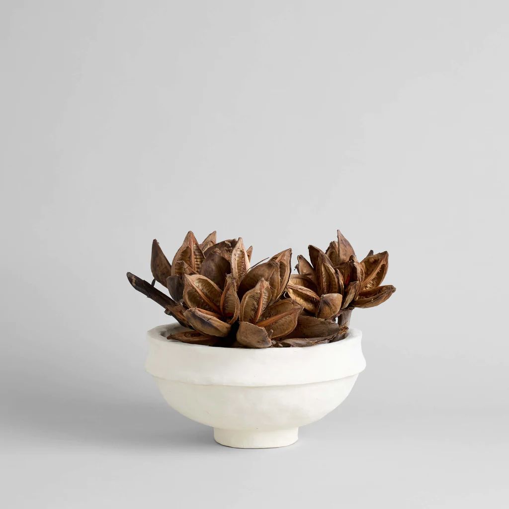 Papier Maché Bowl | Bloomist