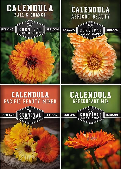 Calendula Seeds for Planting – 4 Pack Mix | Pacific Beauty, Apricot Beauty, Balls Orange, Green... | Amazon (US)
