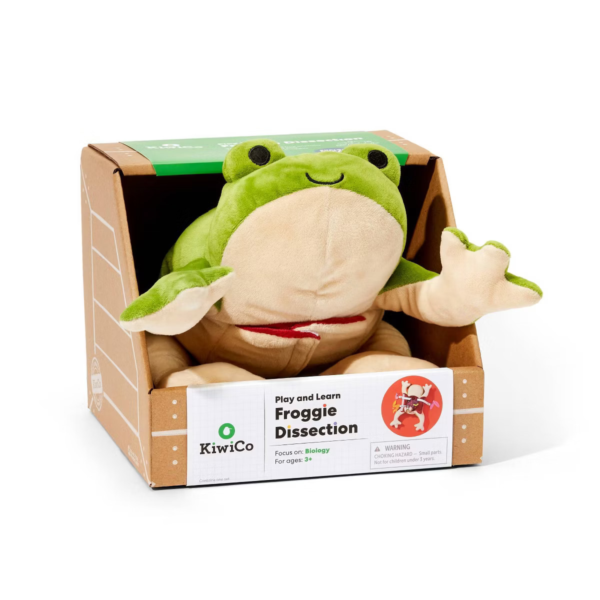 KiwiCo Froggie Dissection Lab | Target