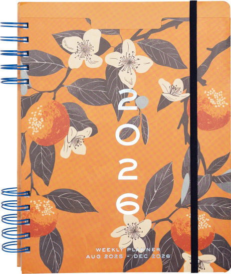 2025-2026 WN Pastel Citrus Weekly Desk Planner | Barnes & Noble