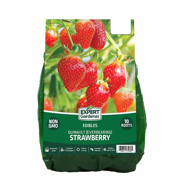 Expert Gardener Strawberry Quinault Bare Roots Set of 10, Full Sun, Red, Annual | Walmart (US)