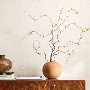 Faux Curvy Willow Branch | West Elm (US)