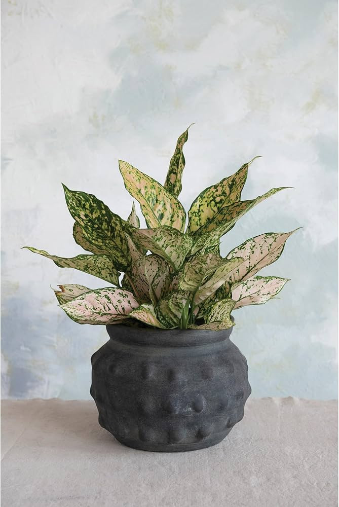 Creative Co-Op Terra-Cotta Raised Dots Vase, 11" L x 11" W x 9" H, Black | Amazon (US)