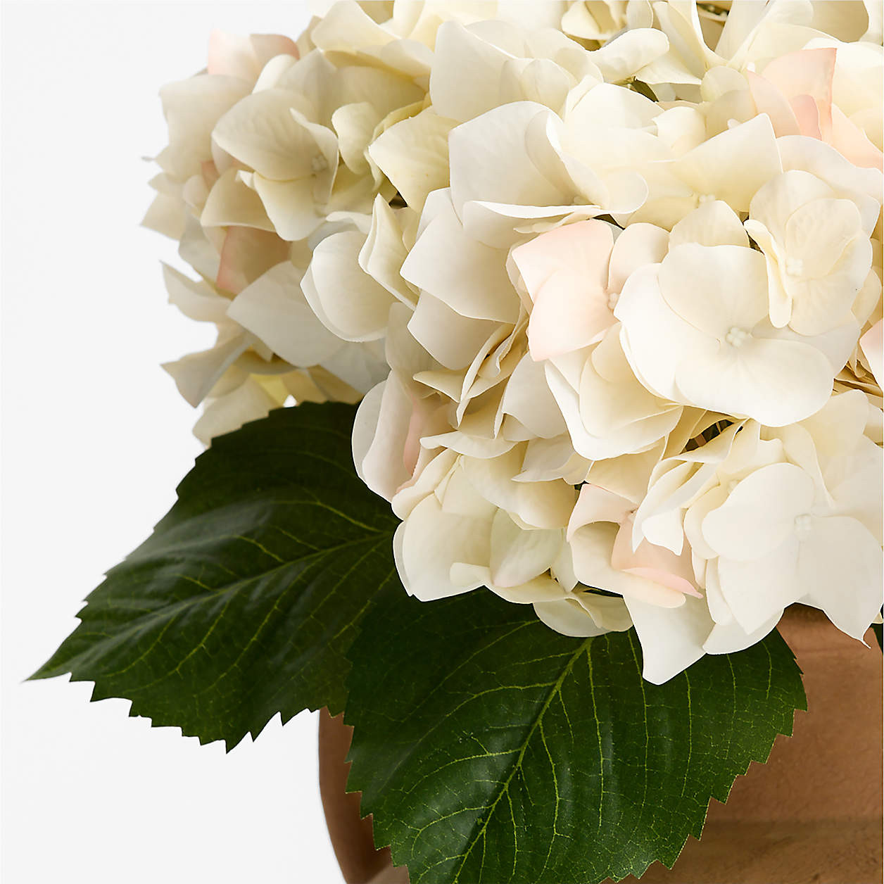 Faux Antiqued White Hydrangea Stem 30" | Crate & Barrel | Crate & Barrel