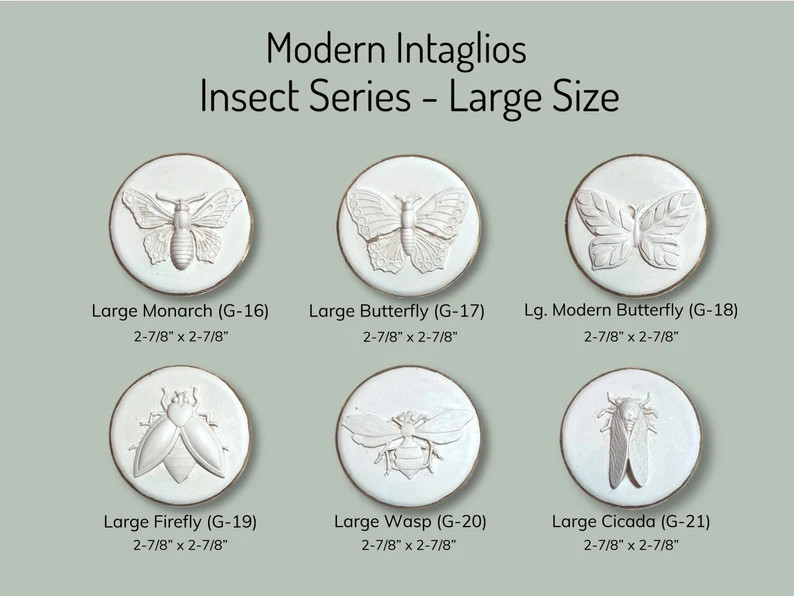 Gorgeous Insect Intaglios Unique Gift DIY Project - Etsy | Etsy (US)