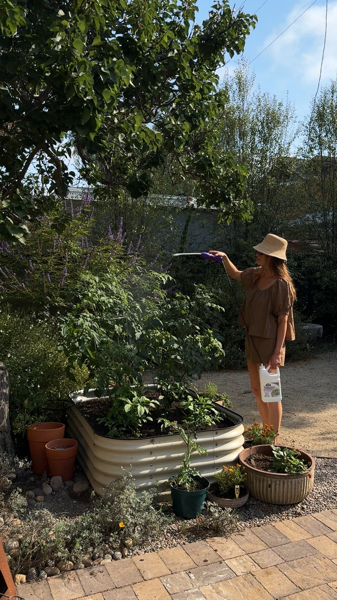 everything I’ve been using to have a thriving garden 