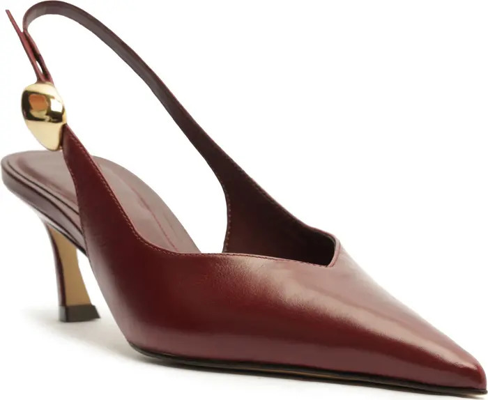 Arezzo Farrah Slingback Pointed Toe Pump (Women) | Nordstrom | Nordstrom