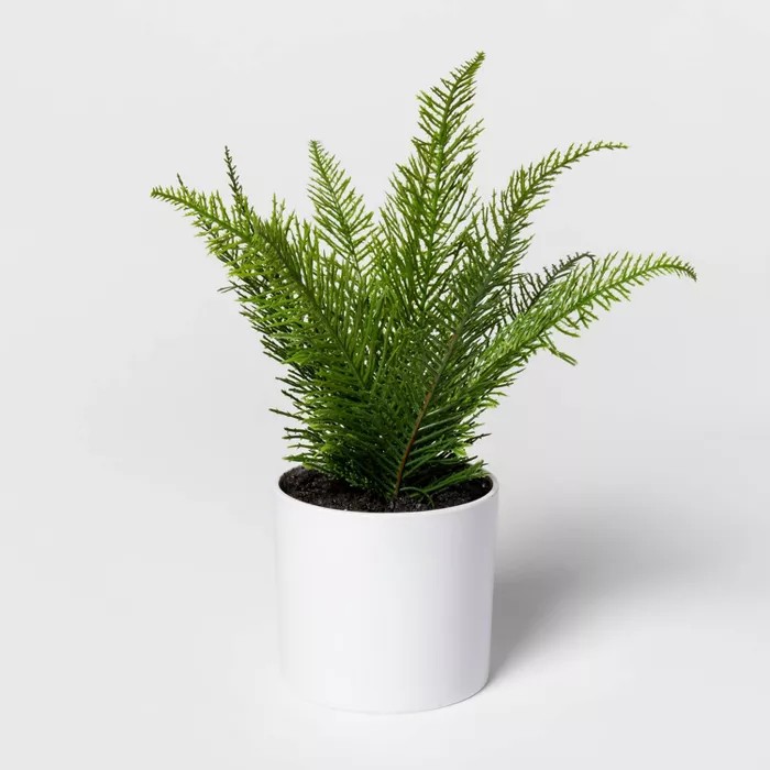 9" x 9" Artificial Fern Arrangement in Pot White - Project 62™ | Target