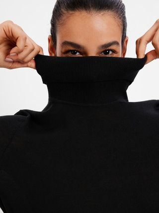 Merino Turtleneck Sweater | Gap (US)