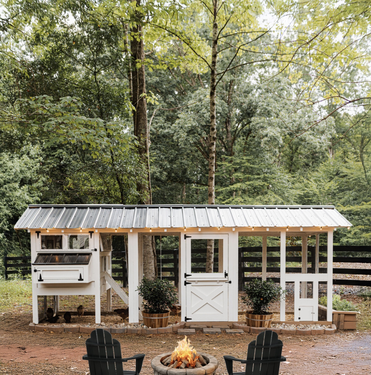 Our Carolina Coop has officially become the dreamiest spot in our backyard 🐓✨ We went with the 6x18 American Coop and customized it with white paint, a predator apron for extra safety, and cozy touches to make it both beautiful and functional. From the metal roof to the spacious interior and easy-to-clean setup, this coop has been perfect for our flock and our farm vibes 🏡💛

#porcheandco #backyardchickens #carolinacoops #ltkhome #ltkchickens #ltkfarmhouse #modernfarmhouse #chickencoopideas

#LTKPets #LTKHome #LTKFamily