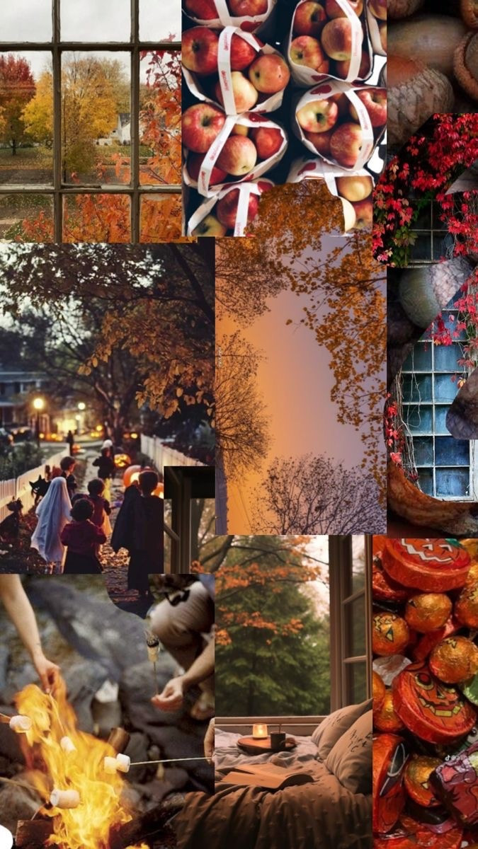 the warmth and goodness of fall 

#LTKSaleAlert #LTKHome #LTKSeasonal