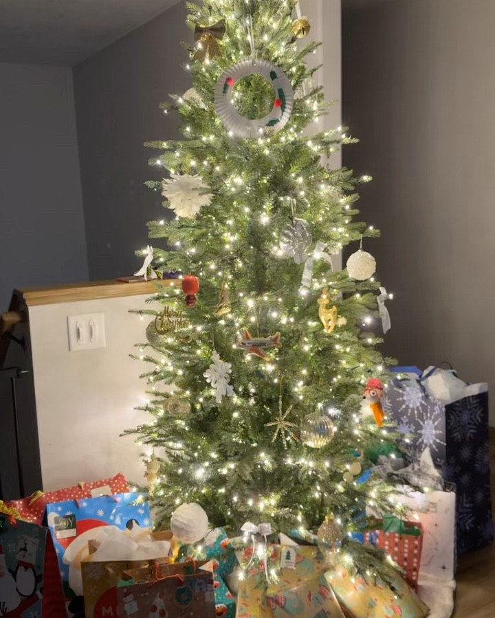 My Christmas tree (the viral Home Depot one) is back in stock! My favorite tree we’ve owned!

#LTKSeasonal #LTKFamily #LTKHome