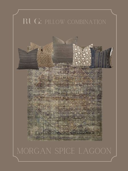 Morgan Spice Lagoon Loloi rug & pillow combination 

#LTKhome