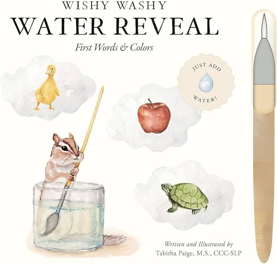 Wishy Washy (Water Reveal Edition): A Reusable Water Reveal Activity Book Teaching First Words an... | Amazon (US)