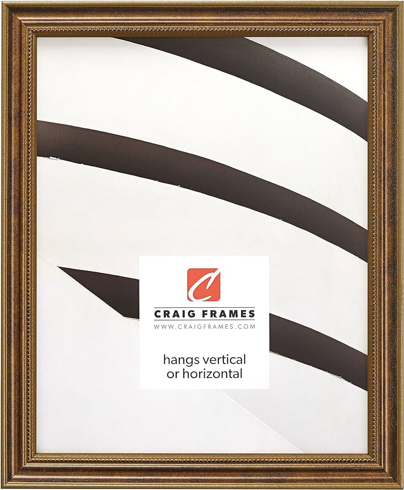 Craig Frames 314BR, Ornate Bronze Picture Frame, 24 x 36 Inch | Amazon (US)