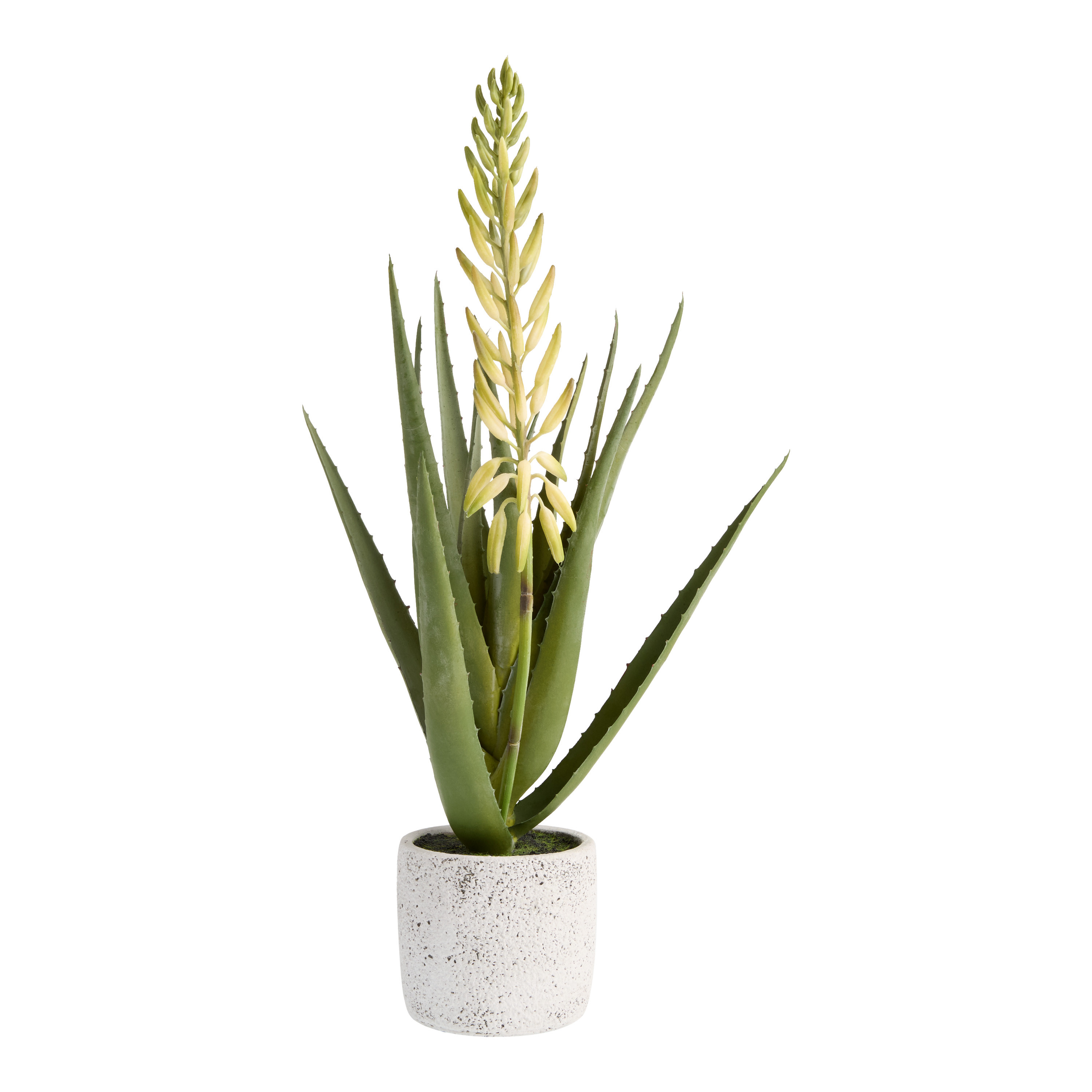 Faux Blooming Agave Plant in Rustic White Pot | World Market
