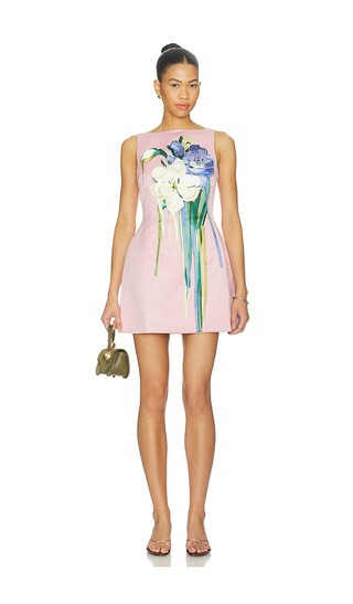 Ali Embroidered Boat Neck Mini Dress Bouquet Print | Revolve Clothing (Global)