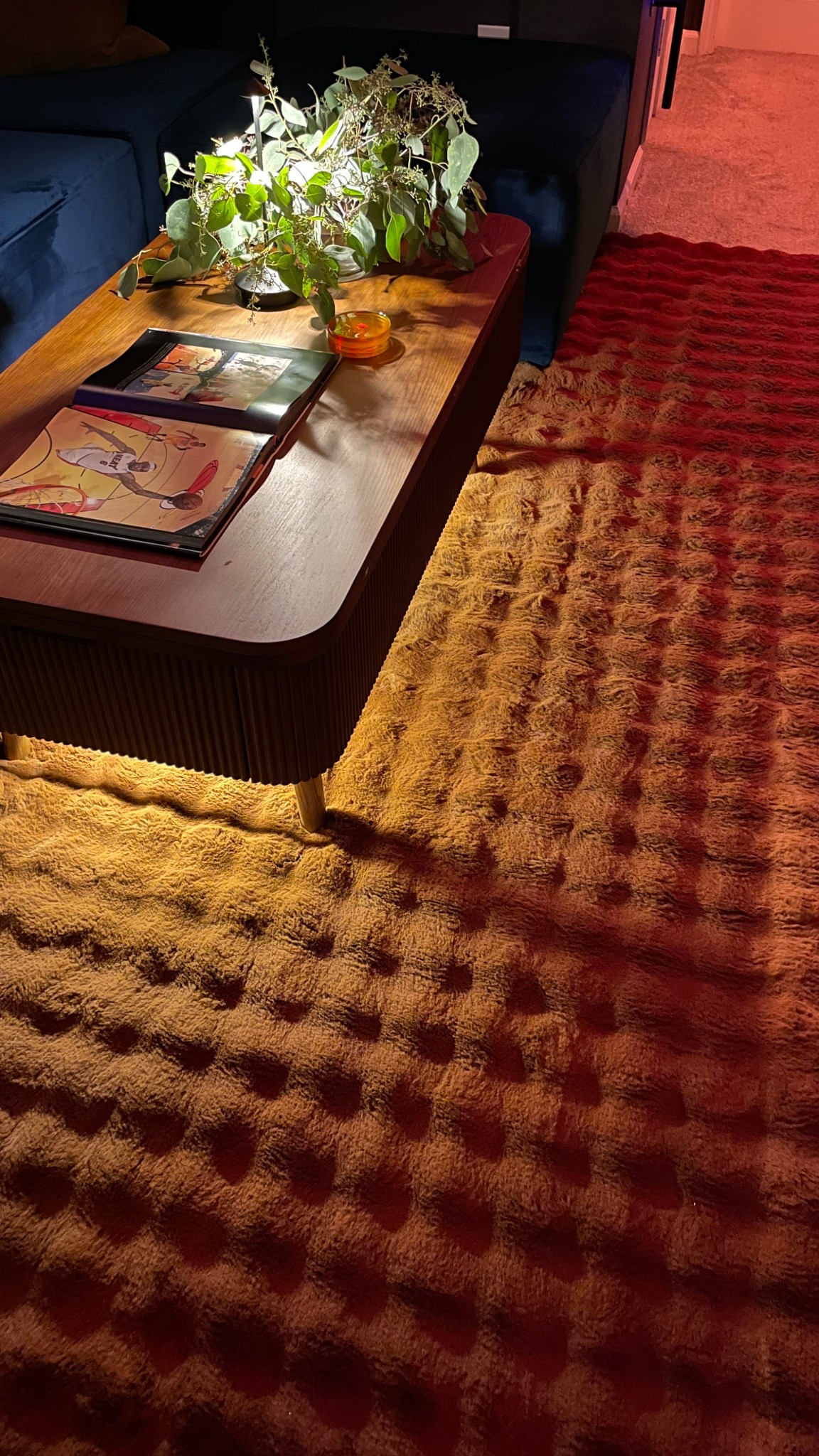 Softest rug in my home! Seriously I lay on the floor in this room it’s almost more comfy than the sofa.

#LTKHome #LTKStyleTip