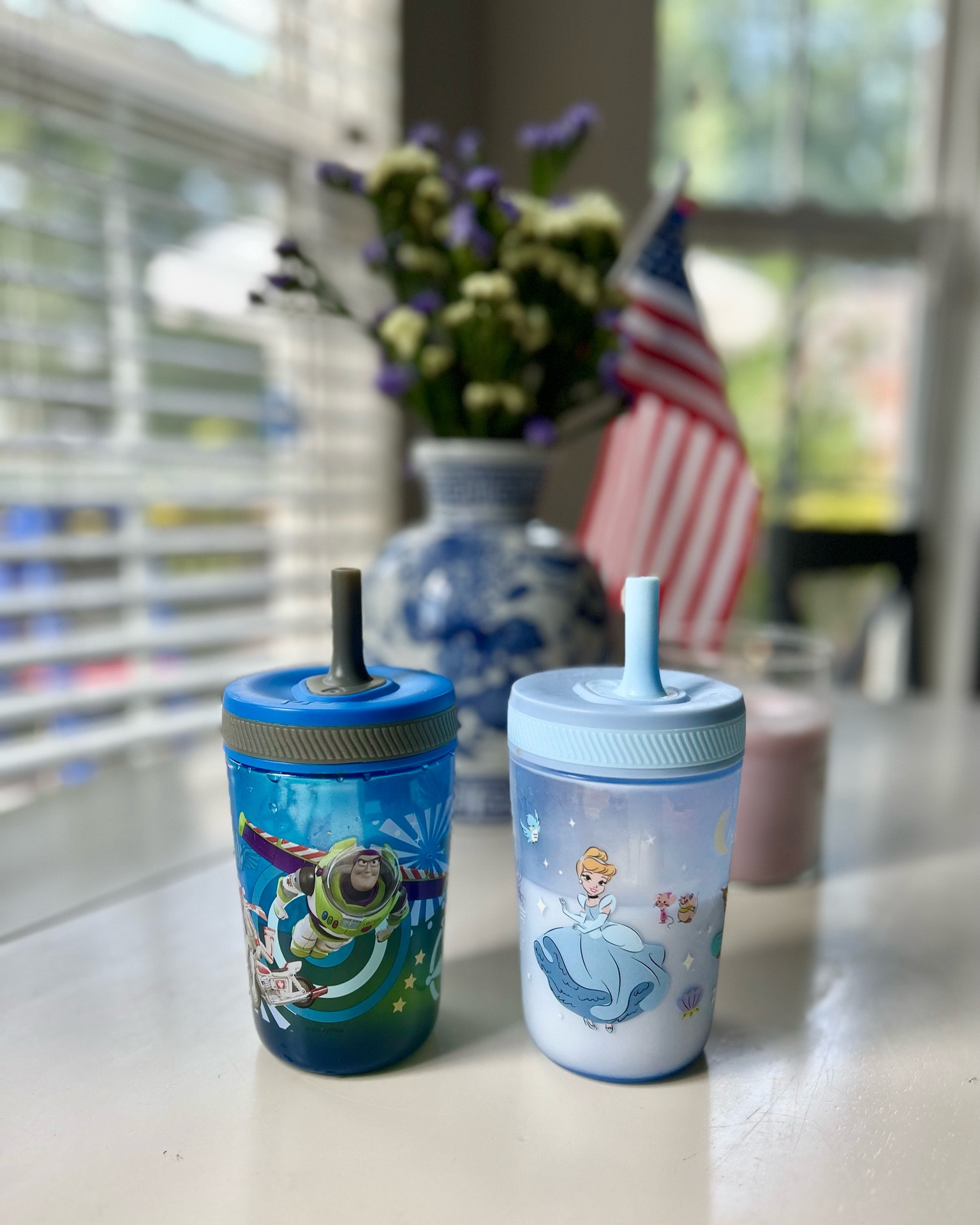 Hands down best toddler cup 
Straw cup 
Sippy cup 
Zak! Straw Cups

#LTKFind #LTKbaby #LTKkids