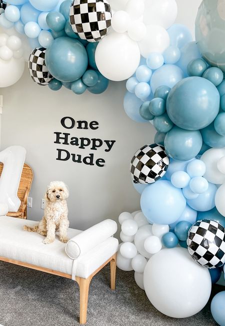 Our one happy dude first birthday celebration for lil bro was a big hit and we fell in love with these gorgeous blue, black, and white balloon decorations by @decorbyfayth — I think Honey approved 🐶 Follow @honeyboothecavapoo for all the inspo for your one year old’s birthday party! 🥳

#LTKFamily #LTKKids #LTKBaby