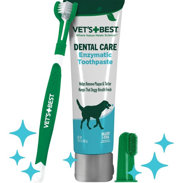 Vet's Best Toothbrush & Toothpaste Dental Kit | Chewy.com