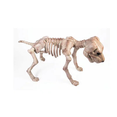 Bone Skeleton Dog Regular The Holiday AisleÂ® | Wayfair North America