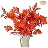 Rinlong Artificial Maple Leaves Flame Red Auntumn Fall Leaves Foliage Decor Stems Floral Picks fo... | Amazon (US)