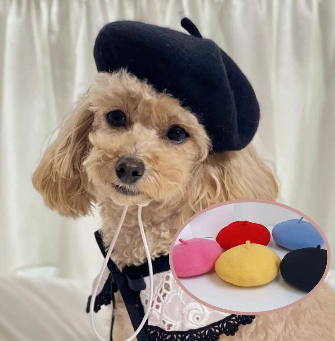 French Beret Hat, Hat for Dog, Dog Hat, Dog Beret, Dog Costume, Pet Outdoor, Pet Accessory, Dog F... | Etsy (US)