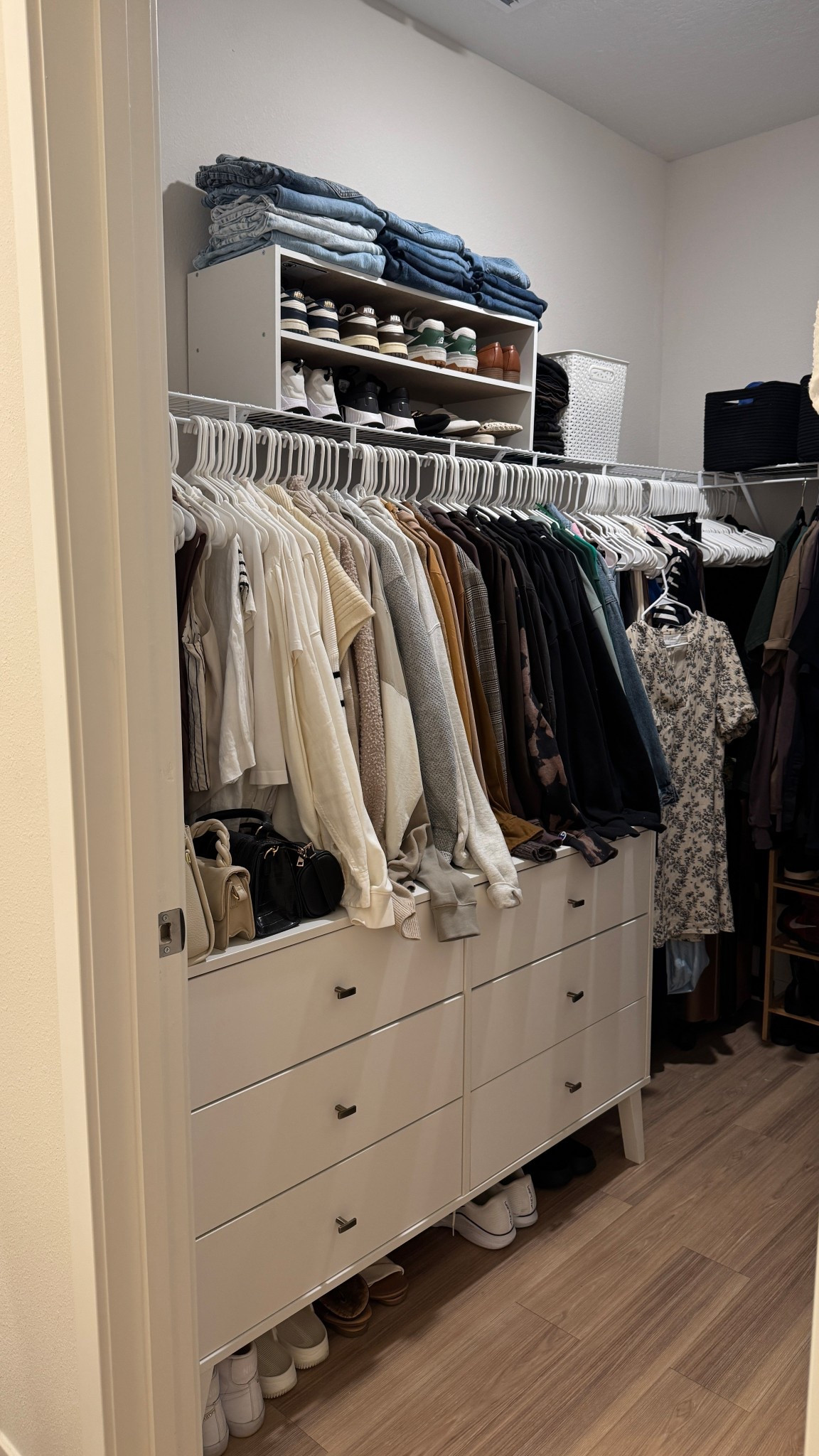 Affordable closet organization 

#LTKHome