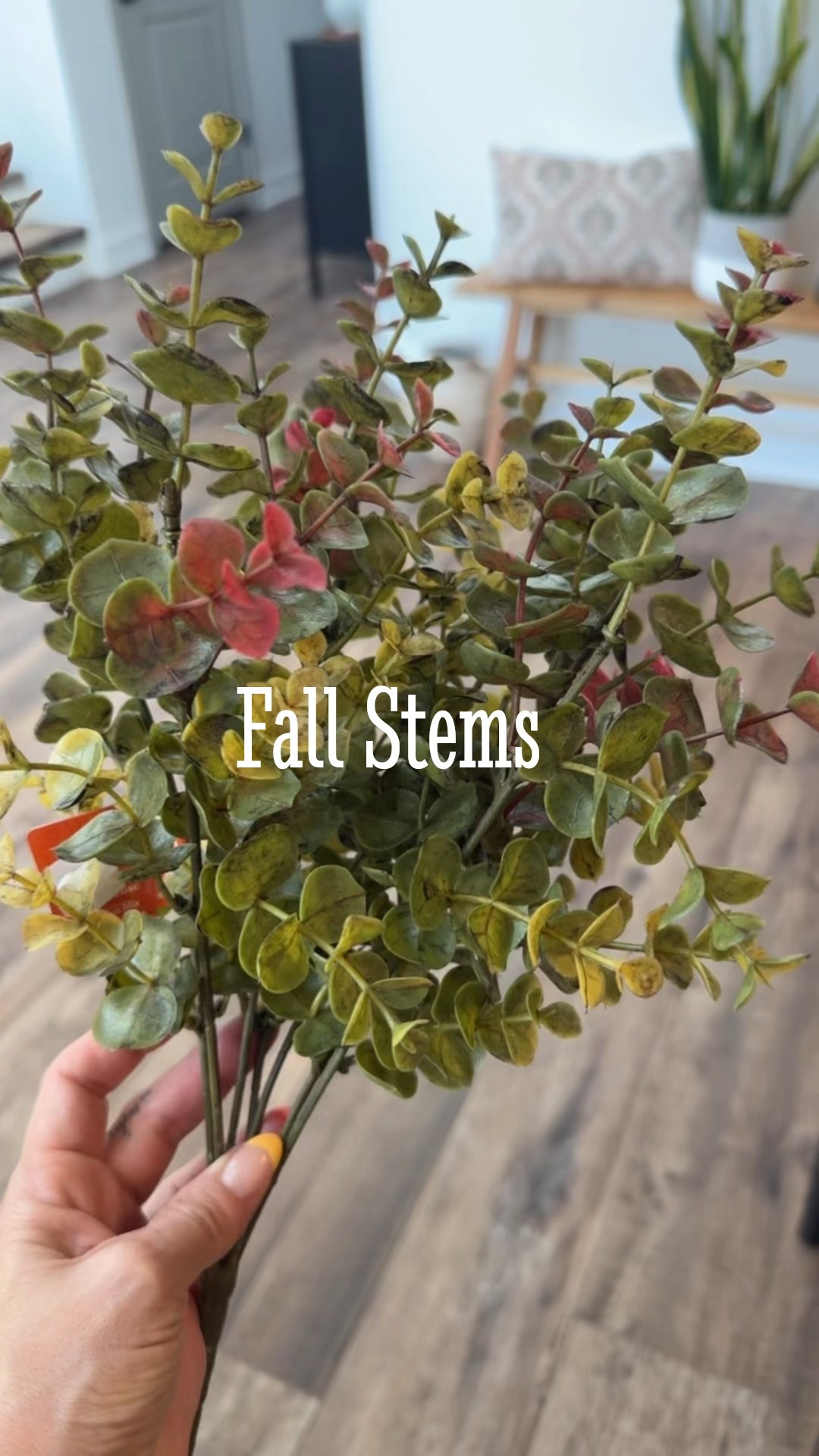 Fall stems, Micheals florals 

#LTKSeasonal #LTKFindsUnder50 #LTKHome