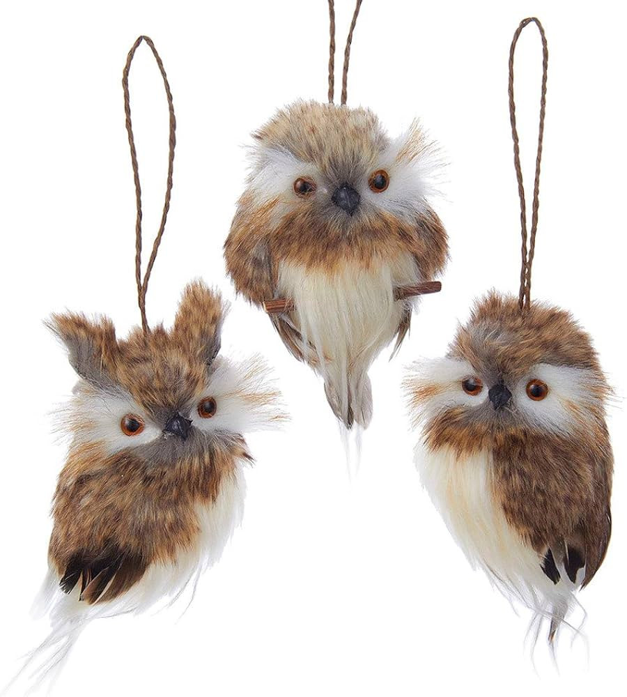 Kurt Adler C2279 4" Brown Hanging Owl Ornament Set | Amazon (US)