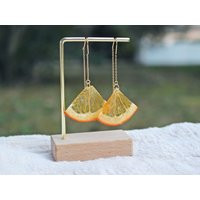 Real Orange Earrings, Dried Fruit Slices in Resin, Minimalist Fruitty Drop Earrings 14K Gold-Plated | Etsy (CAD)