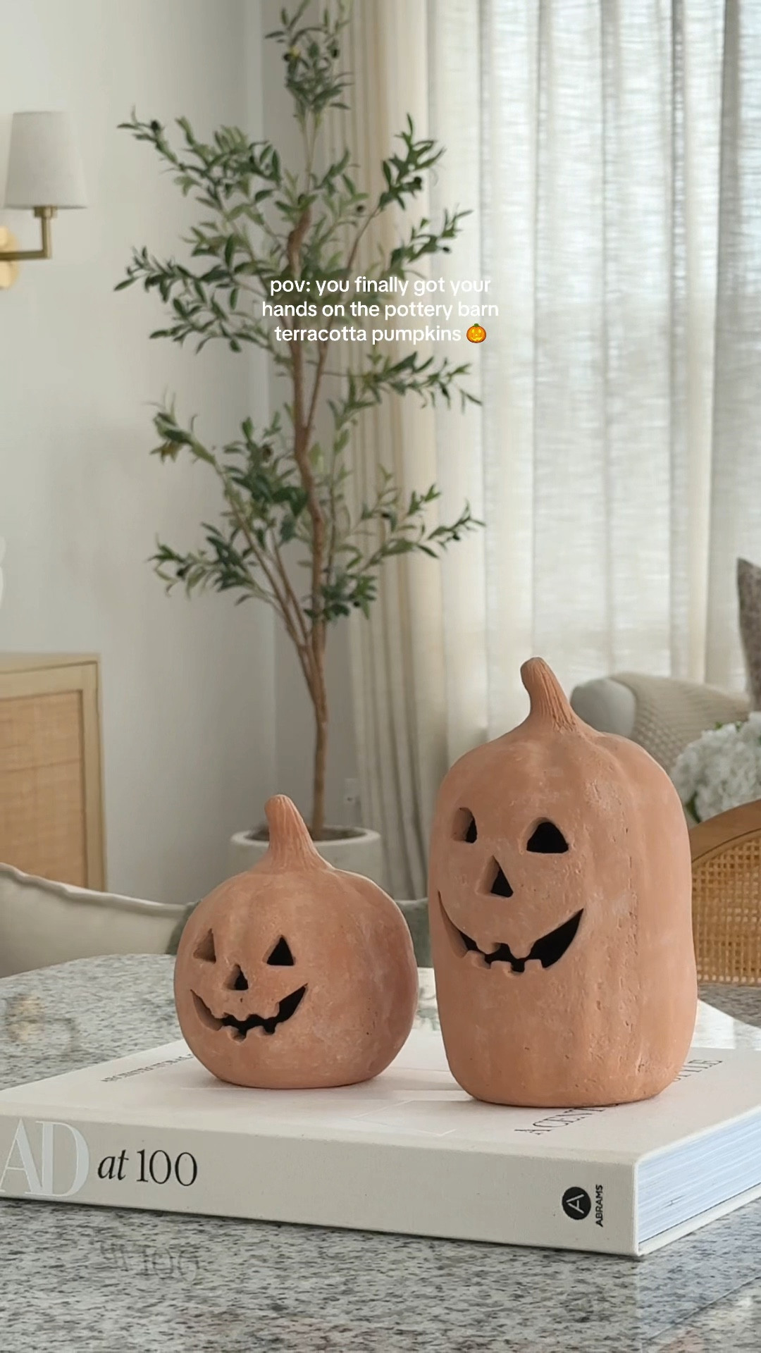 finally was able to get my hands on these terracotta pumpkins and I’m truly obsessed, they are so perfect!! 🍂🎃