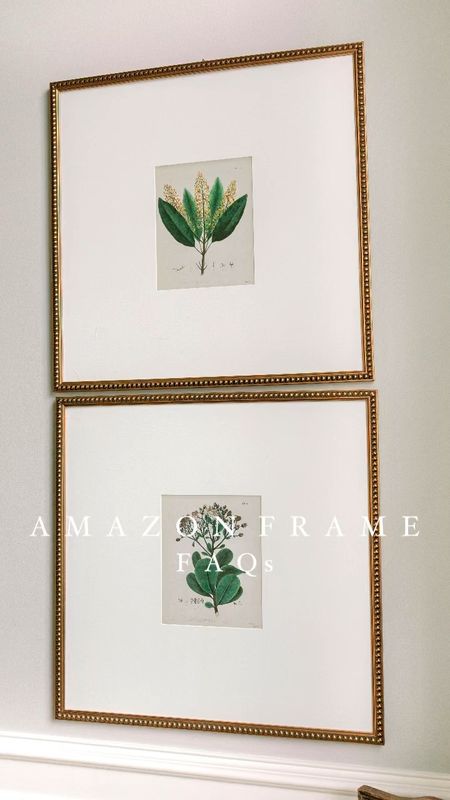 ✨ Amazon frame FAQs ✨ Set of 4 botanical prints are under $10 🎉


🔹 Frames - I have the 24x24 square but it comes in over 40 customizable size options. I had the mats (cut out is 8x10) made locally at Michael’s. Fronts are plexiglass which make them lighter/easier to hang and more durable than glass.

#homedecor #shopltk #ltkunder100 #ltkunder50 #ltkhome #amazonhome #founditonamazon #interiordesign

#LTKhome #LTKVideo #LTKfindsunder100