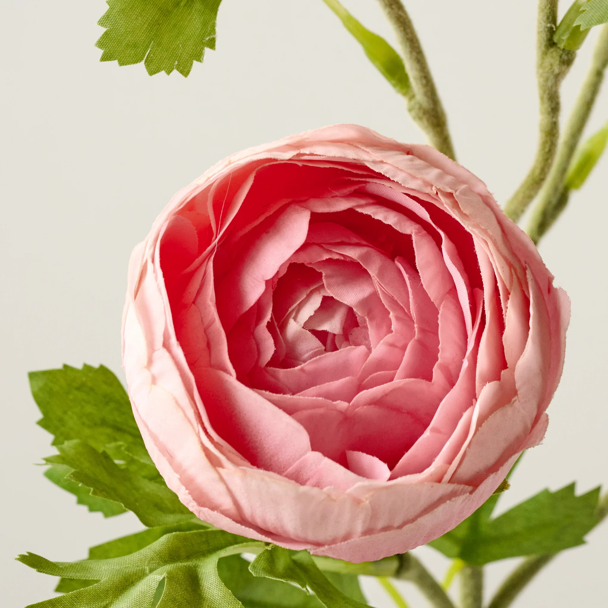 Real Touch Ranunculus Stem | Magnolia