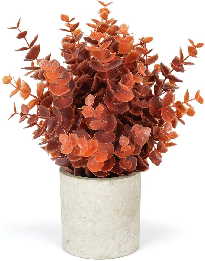 Velener 1 PCS Small Fake Plants Eucalyptus Potted Artificial Plants- Rustic Farmhouse Topiary Shr... | Amazon (US)