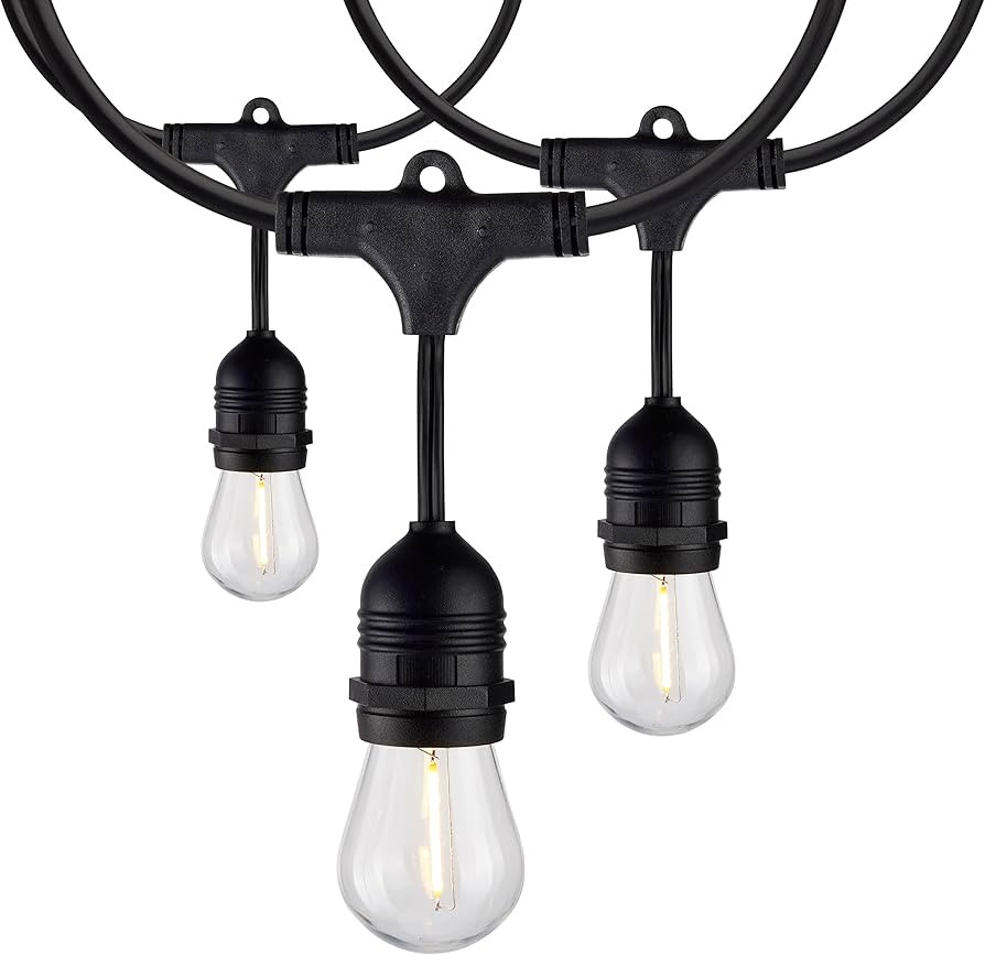 Satco S8032 LED Indoor/Outdoor String Lights, Black, S14 Bulbs, 60 Feet (Pack of 1) | Amazon (US)