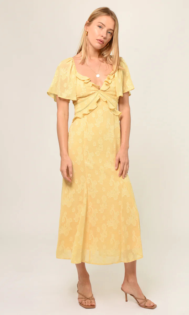 Ava Burnout Chiffon Maxi Dress | Greylin Collection | Women's Luxury Fashion Clothing 