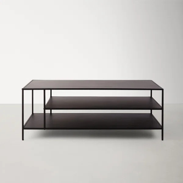 Level Coffee Table with Storage | Wayfair North America